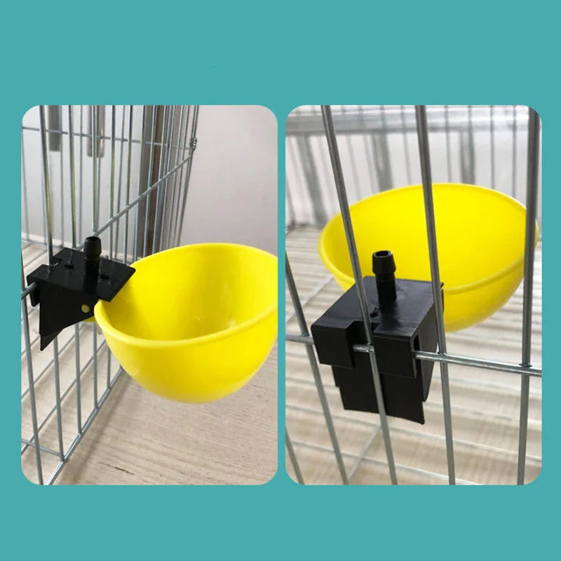 Quail Drinking Bowl Automatic Chicken Strong Durable Inner Diameter
