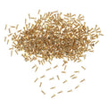 Brass Material Golden Screws Flat Self-tapping Model Tool Zpaxo 1 0