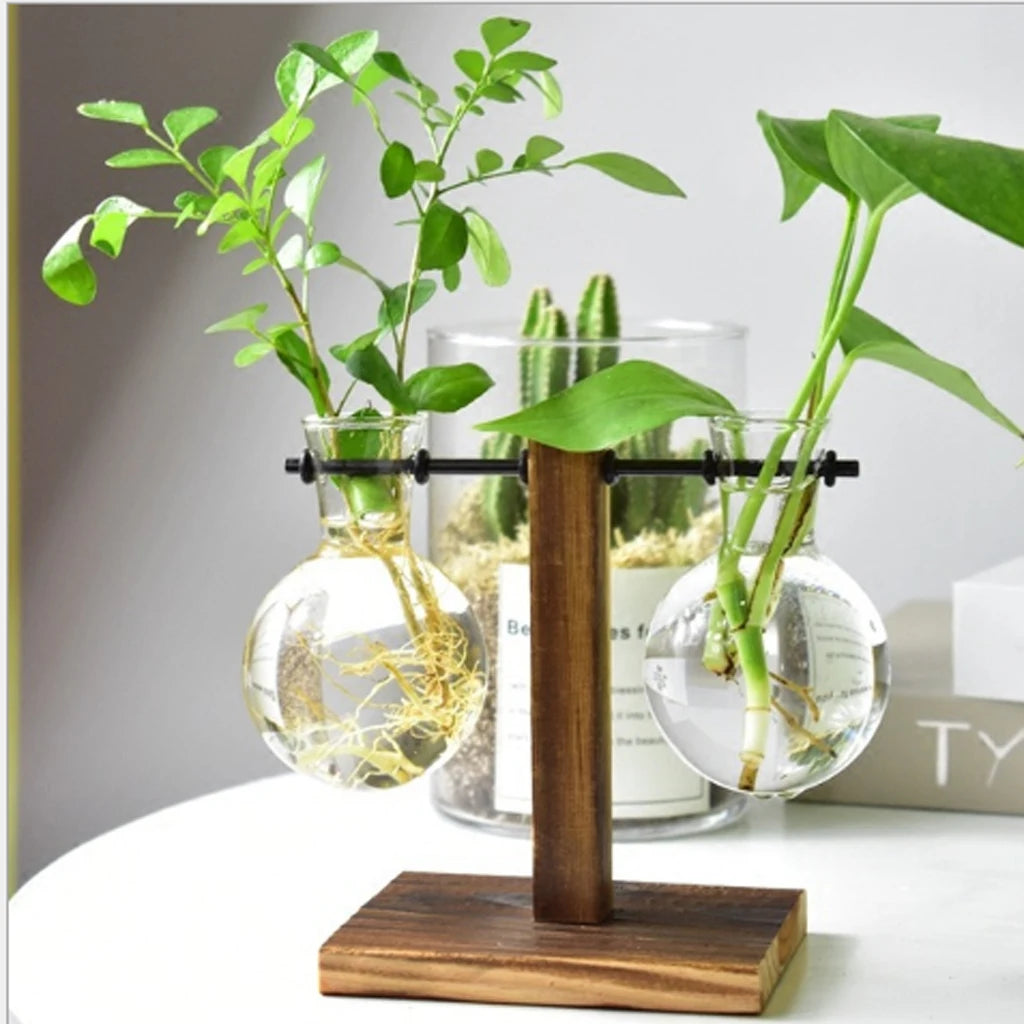 Glass Bulb Vase with Wooden Stand | Hydroponic Desktop Planter Hydroponic Glass Vase Zpaxo Style 2