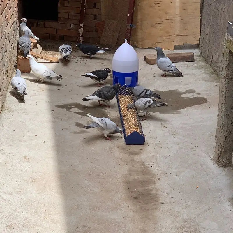 Thickened Bird Pigeon Feeder Trough Chicken Food Fountain Chick
