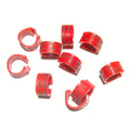 Professional Grade Pigeon Rings Custom Laser Engraved Leg Bands