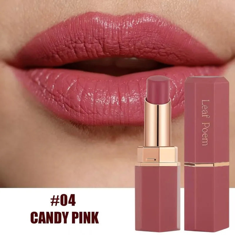Matte Velvet Moisturizing Lipstick Silky Texture Lasting Easy To Apply Lip Sticks Sexy Red Solid Lip Gloss Makeup Gift for Women Zpaxo 04
