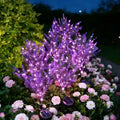 Solar-powered Lavender Lamp Outdoor Garden Decorative Lighting