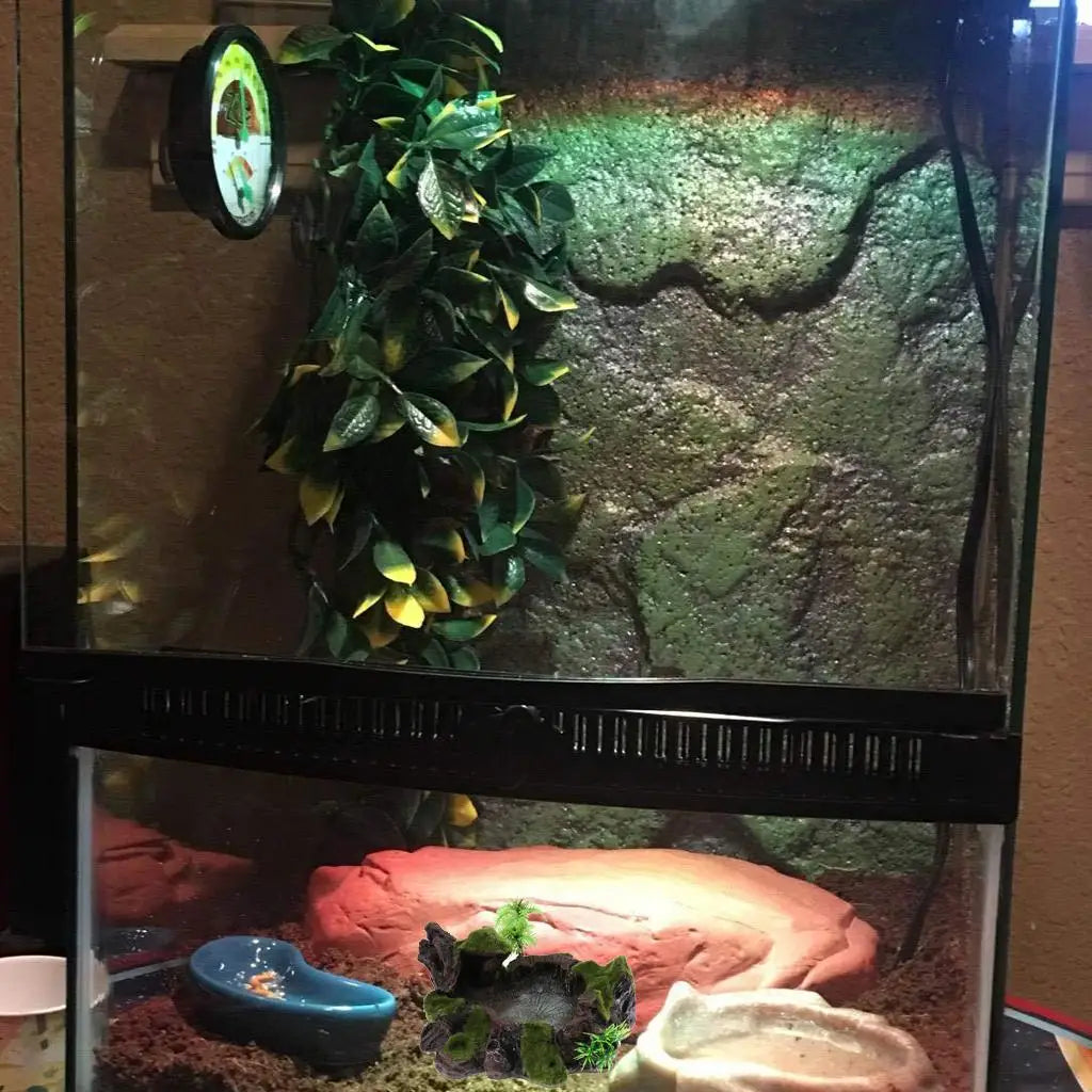 Pets Feeding Plate - Non- Reptile Bowl Resin Dish Suitable for Reptile Small Animals, Tortoise, , Frog, Gecko, Scorpion Zpaxo