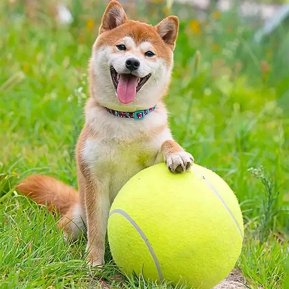 Dog Tennis Ball 24cm/9.5Inch Pet Tennis Ball Thrower For Training Interactive Large Dog Toy for Outdoor/Indoor Sports Dog Gift Zpaxo