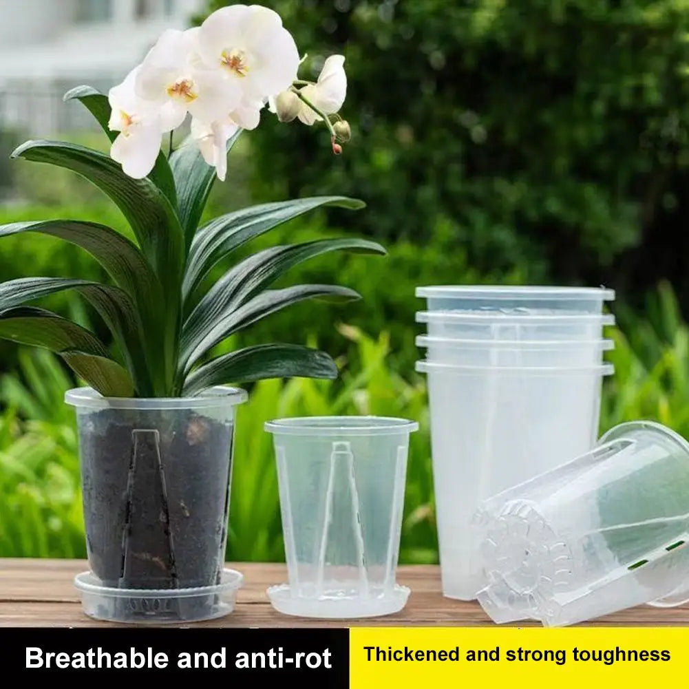 Clear Orchid Planter PP Plastic Pot | Air Holes & Drainage Orchid Planter Pot Zpaxo
