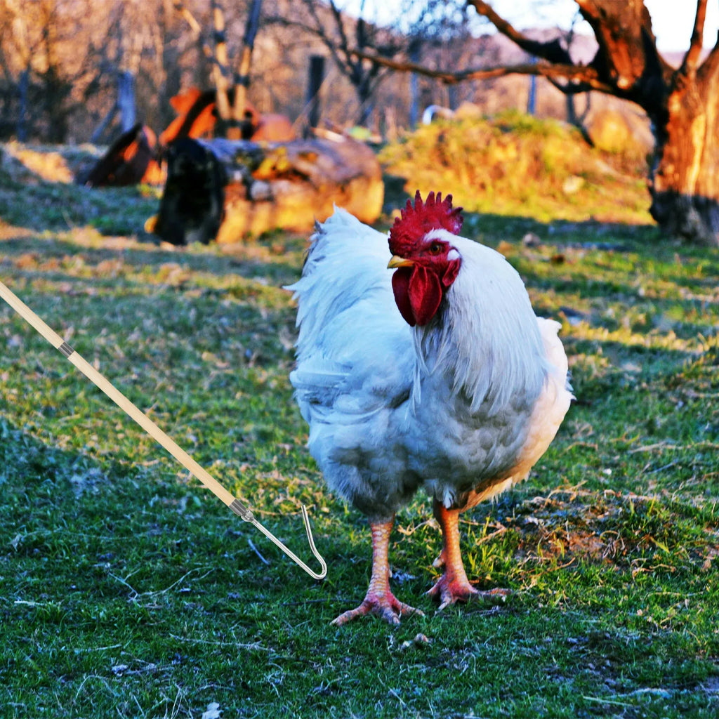 Professional Chicken Catcher Hook Rod Chickens Ducks Geese Quick