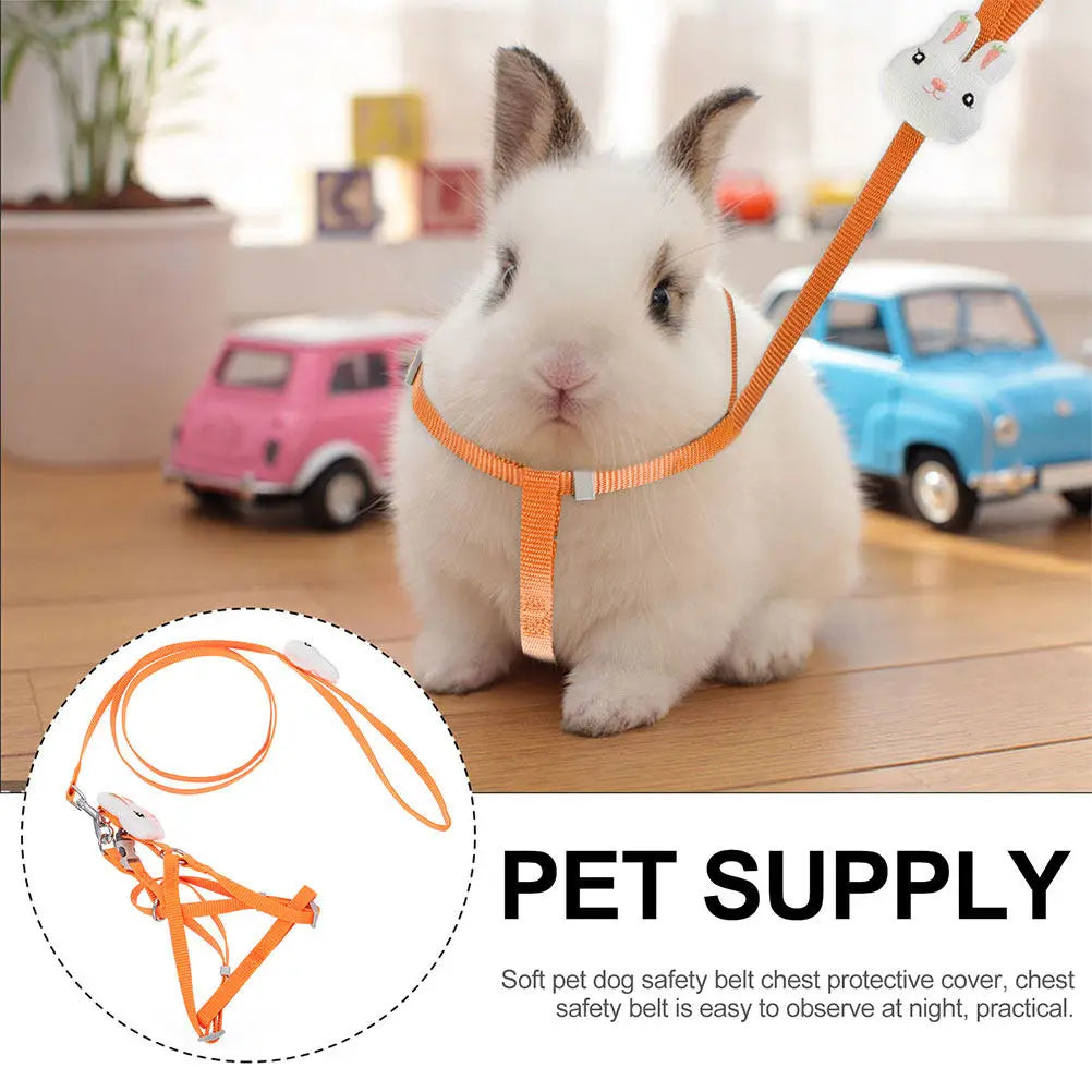 Pet Harness Leash Adorable Cartoon Design Wear Resistant Breathable
