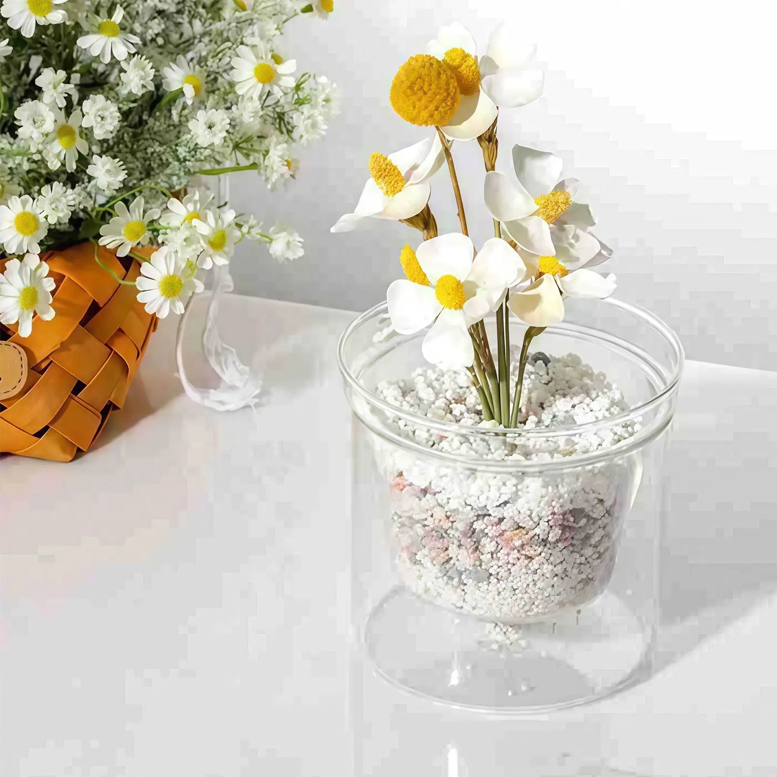 Clear Glass Flower Pot Double Layer Self Watering Planter Hydroponic