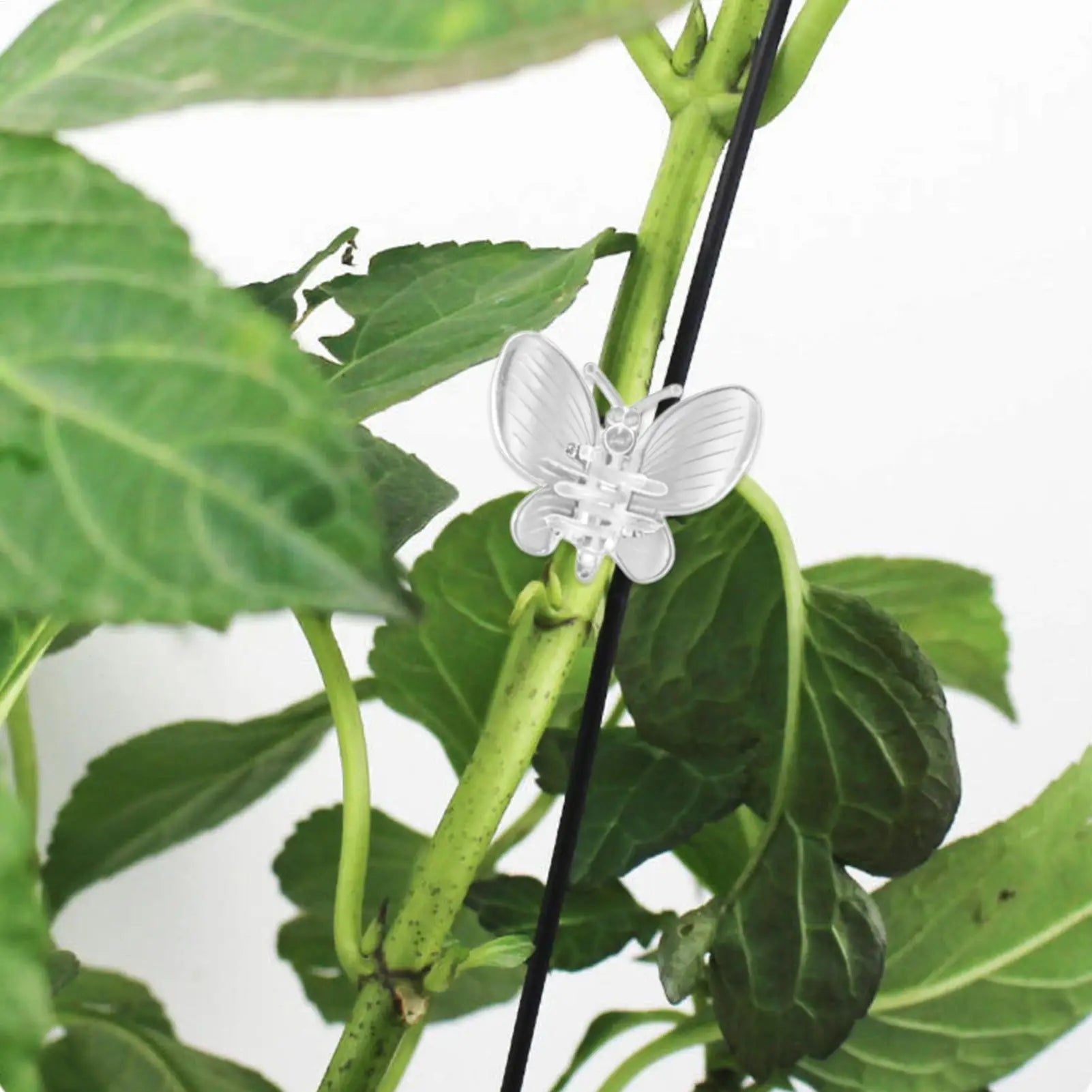 10-Pack Plant Vine Clips – Orchid, Tomato & Climbing Support Plant Support Clips Zpaxo
