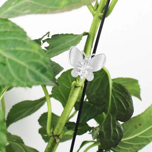 10-Pack Plant Vine Clips – Orchid, Tomato & Climbing Support Plant Support Clips Zpaxo