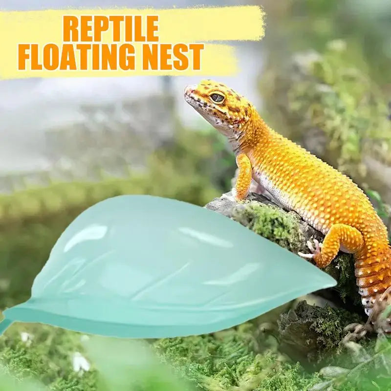 Geckos Frog Habitat Leaf Suction Cup Reptile Basking Area Resting
