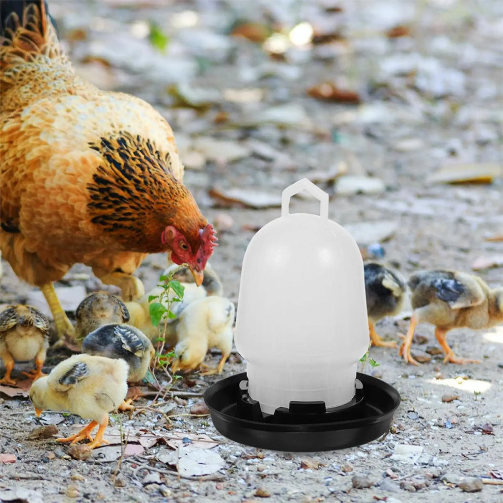 Automatic Chicken Waterer Poultry Drinker Duck Goose Water Cup