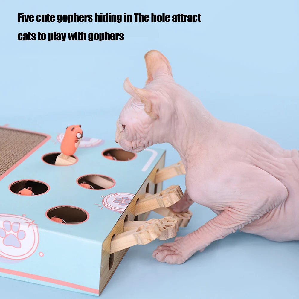 Cat Hit Gophers 1 Game Box Funny Stick Toy Chase Hunt Mouse Maze