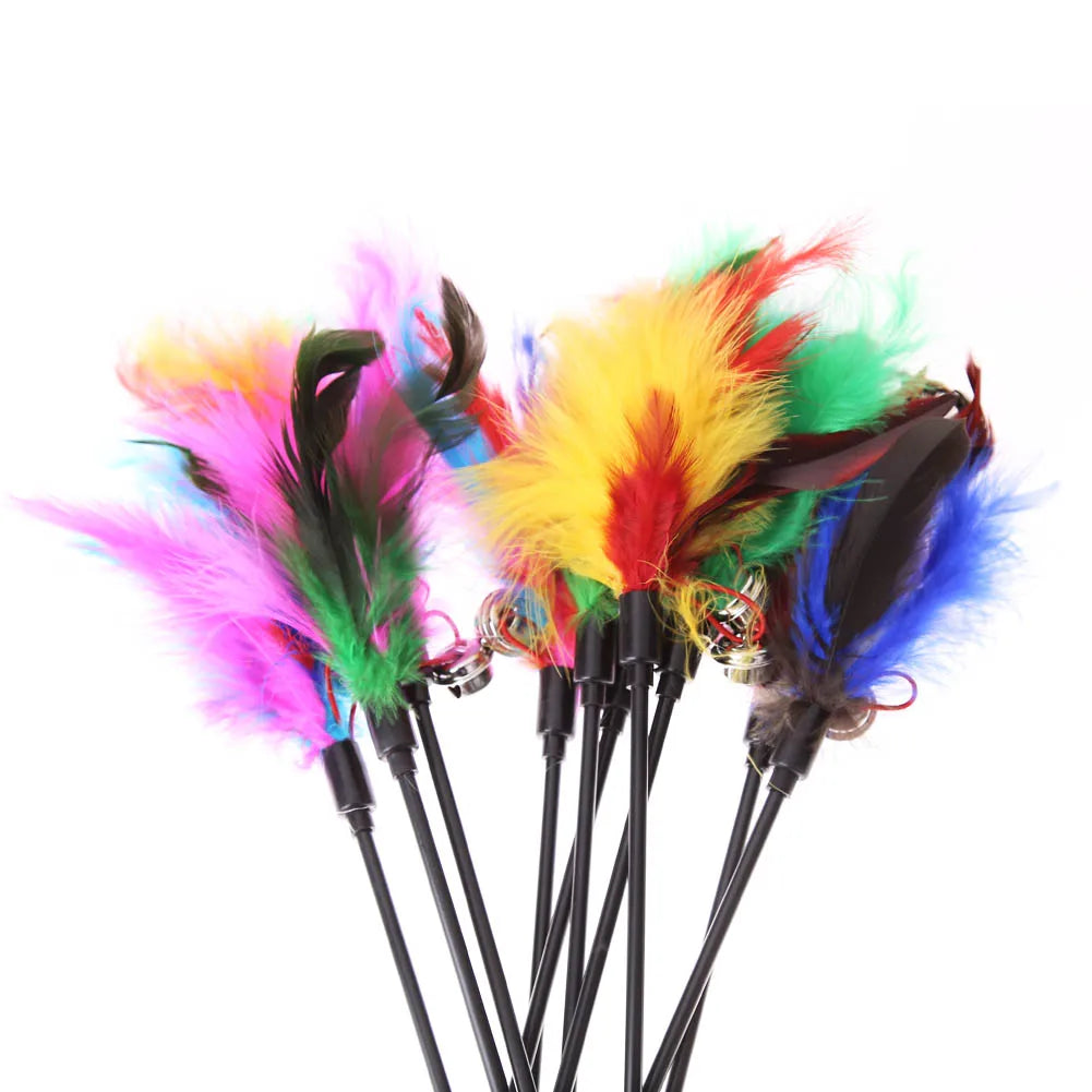 5pcs/set Interactive Funny Cat Stick Colorful Feather Cat Game Wand Exquisite Portable Creative Fashion Novelty Pet Cat Supplies Zpaxo
