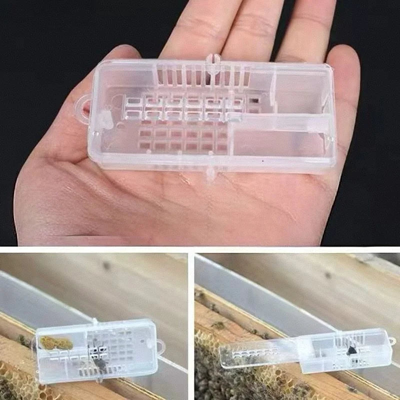 Beekeeping Plastic Transport Cage Bee Insectary Box Mailing Introduce