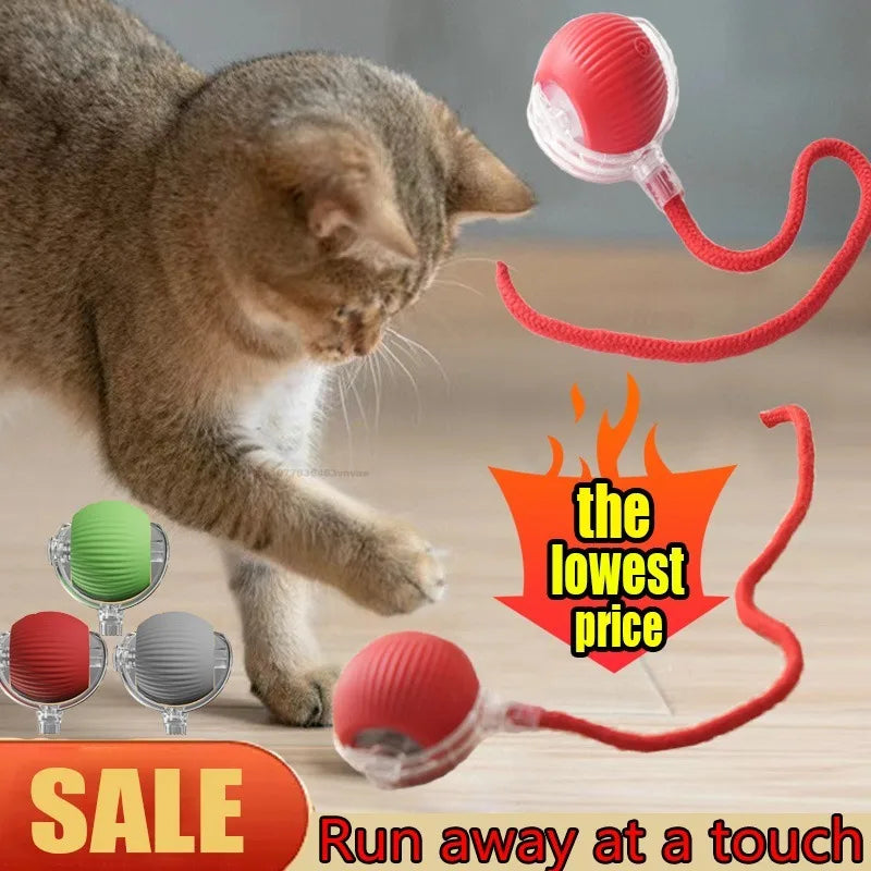 Cat Interactive Ball Training Self-moving Kitten Electric Cat Ball Toys Electronic Automatic Rolling Magic Ball Toys for Cat Zpaxo
