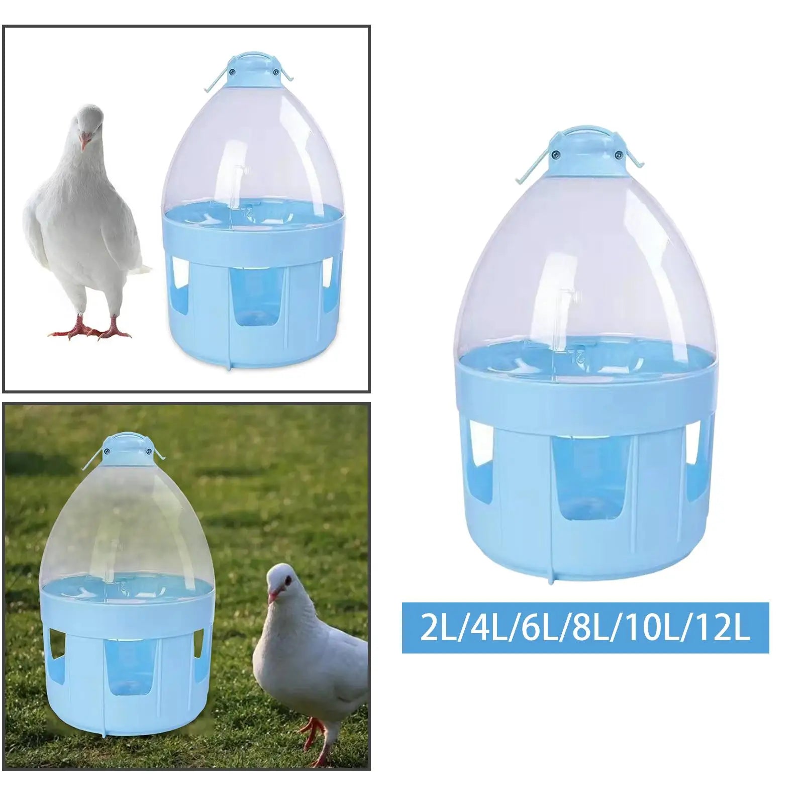 Pigeon Feeder Waterer Pet Supplies Portable Pigeon Automatic Water Feeder Automatic Pigeon Waterer for Quail Canary Drinking Zpaxo