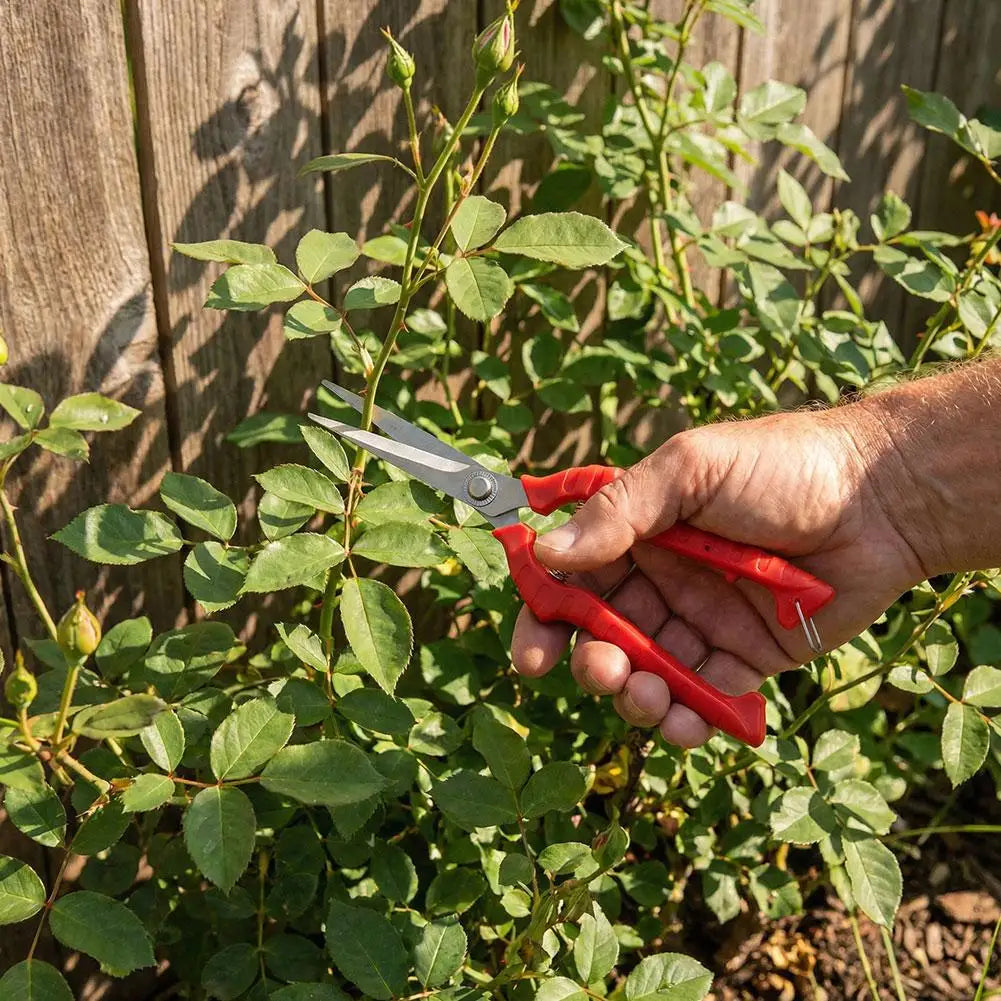 Ergonomic Pruning Shears for Fruit Trees – Stainless Steel Garden Scissors Pruning Shears Zpaxo