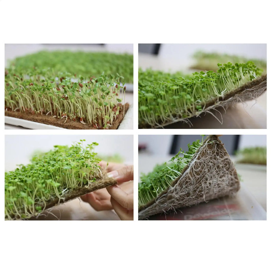 Jute Grow Mat 8 Pieces Jute Growing Seedling Pads 10x20 Inch Organic Germination Mat for Beginner Indoor Home Garden Balcony Zpaxo