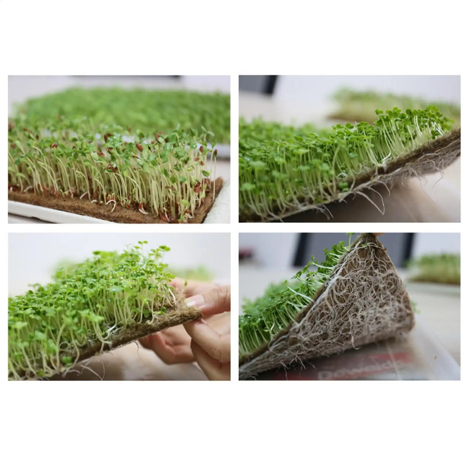 Jute Grow Mat 8 Pieces Jute Growing Seedling Pads 10x20 Inch Organic Germination Mat for Beginner Indoor Home Garden Balcony Zpaxo