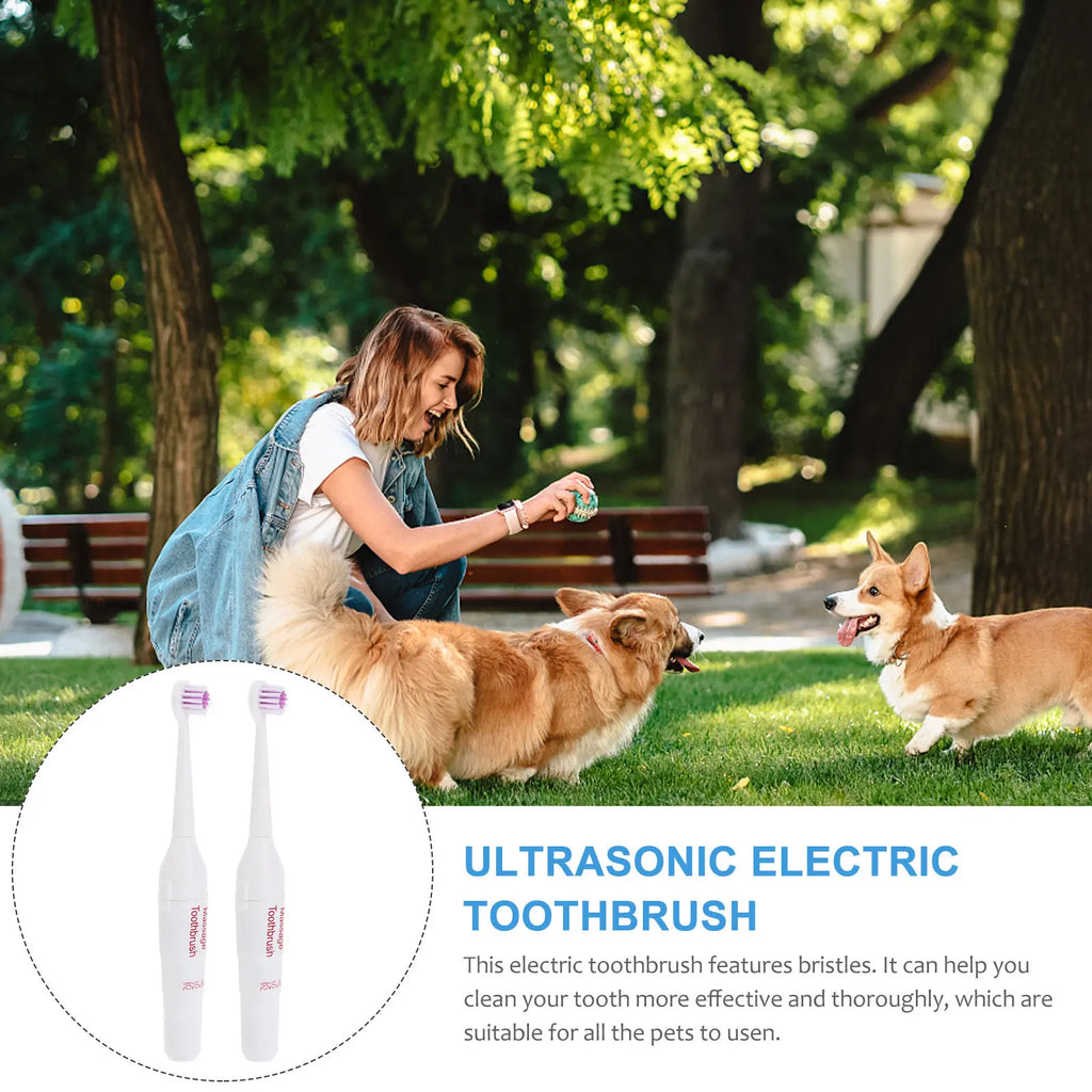 Electric Toothbrush Pets Lightweight Portable Waterproof Electrical