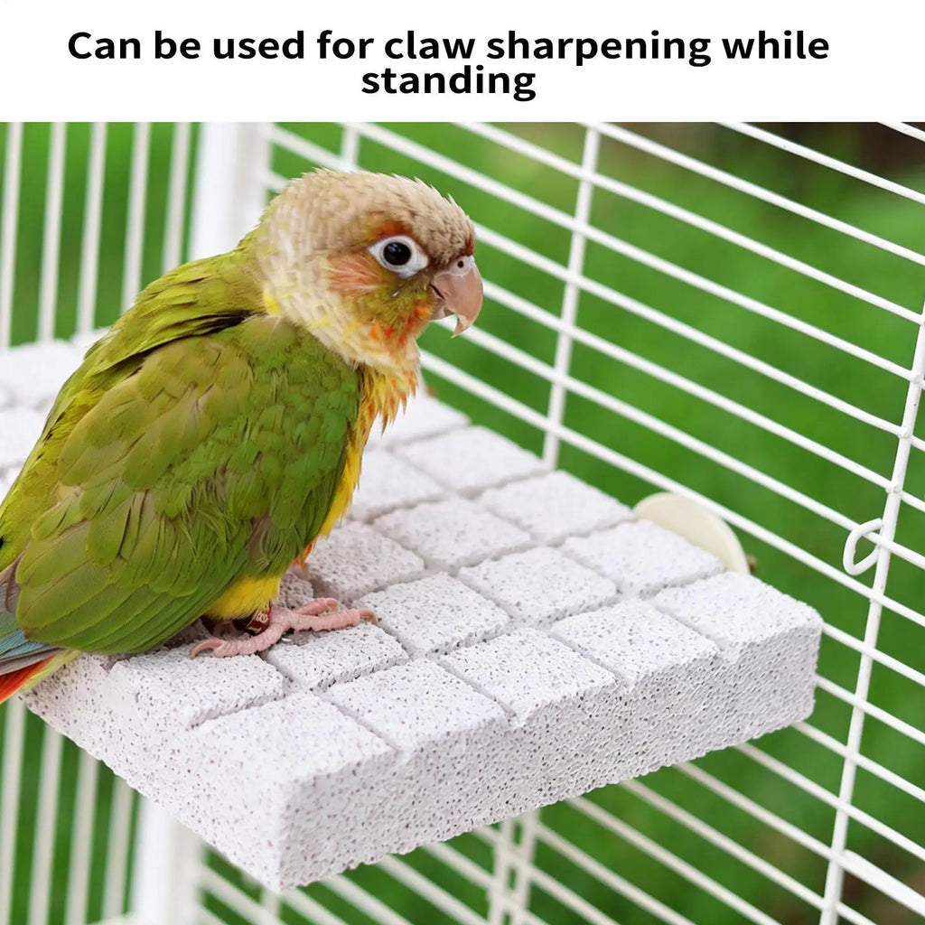 Natural Volcanic Rock Bird Perch Parakeet Chewing Toy Grinding Stone