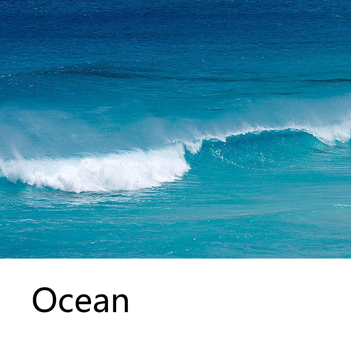 Ocean Style Shampoo Bar – Deep Cleansing & Nourishing Hair Solid Shampoo Bar Zpaxo