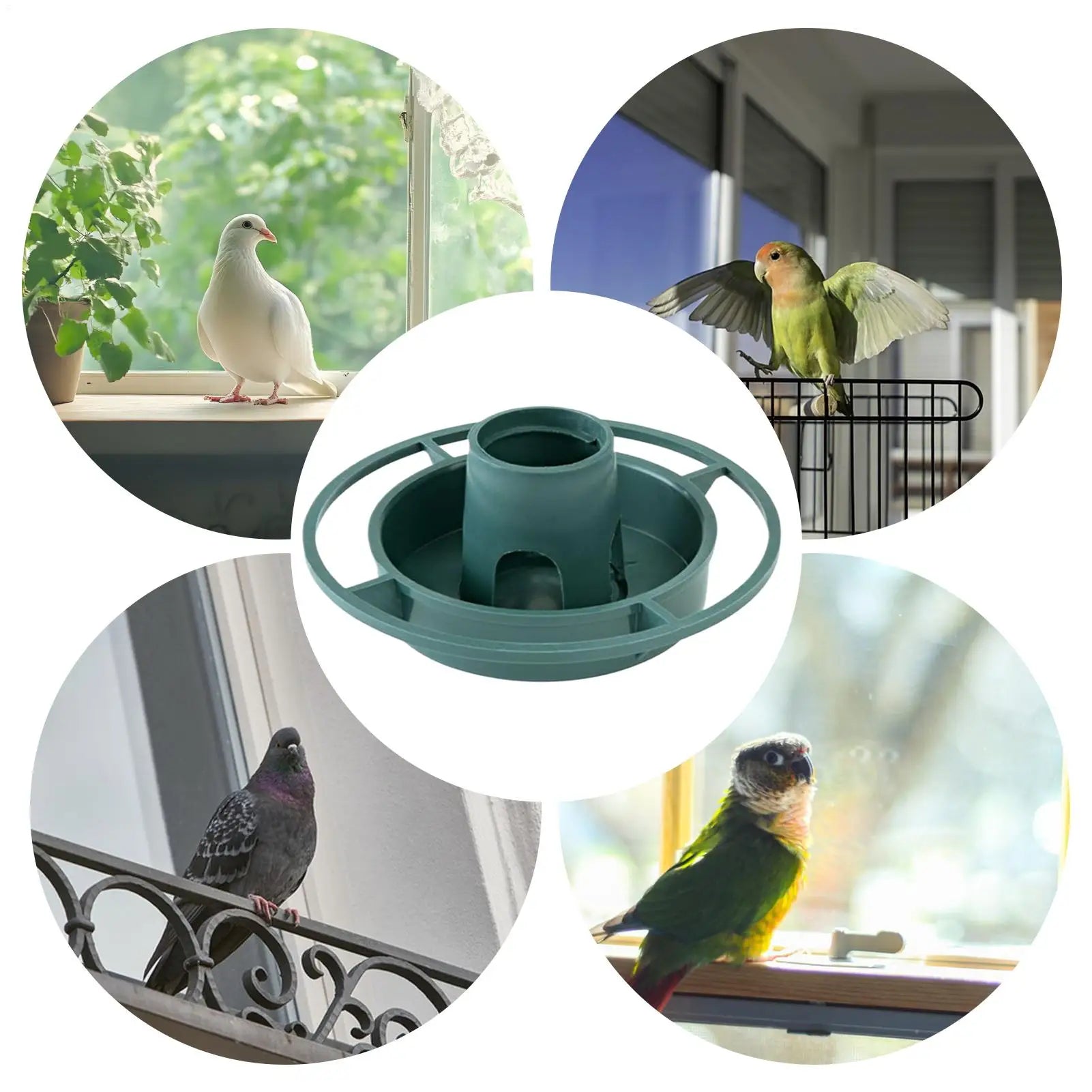 Bird Feeders Outside Multifunctional Feeder Parrot Watering Container