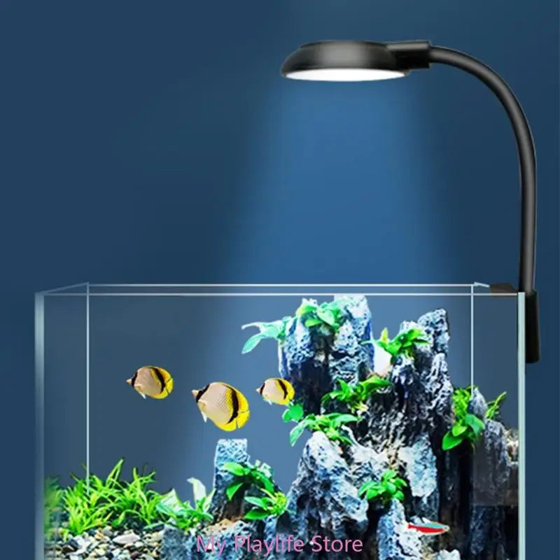 Aquarium LED Light 5W LEDs Saltwater Fish Tank Clip-on Coral Clip
