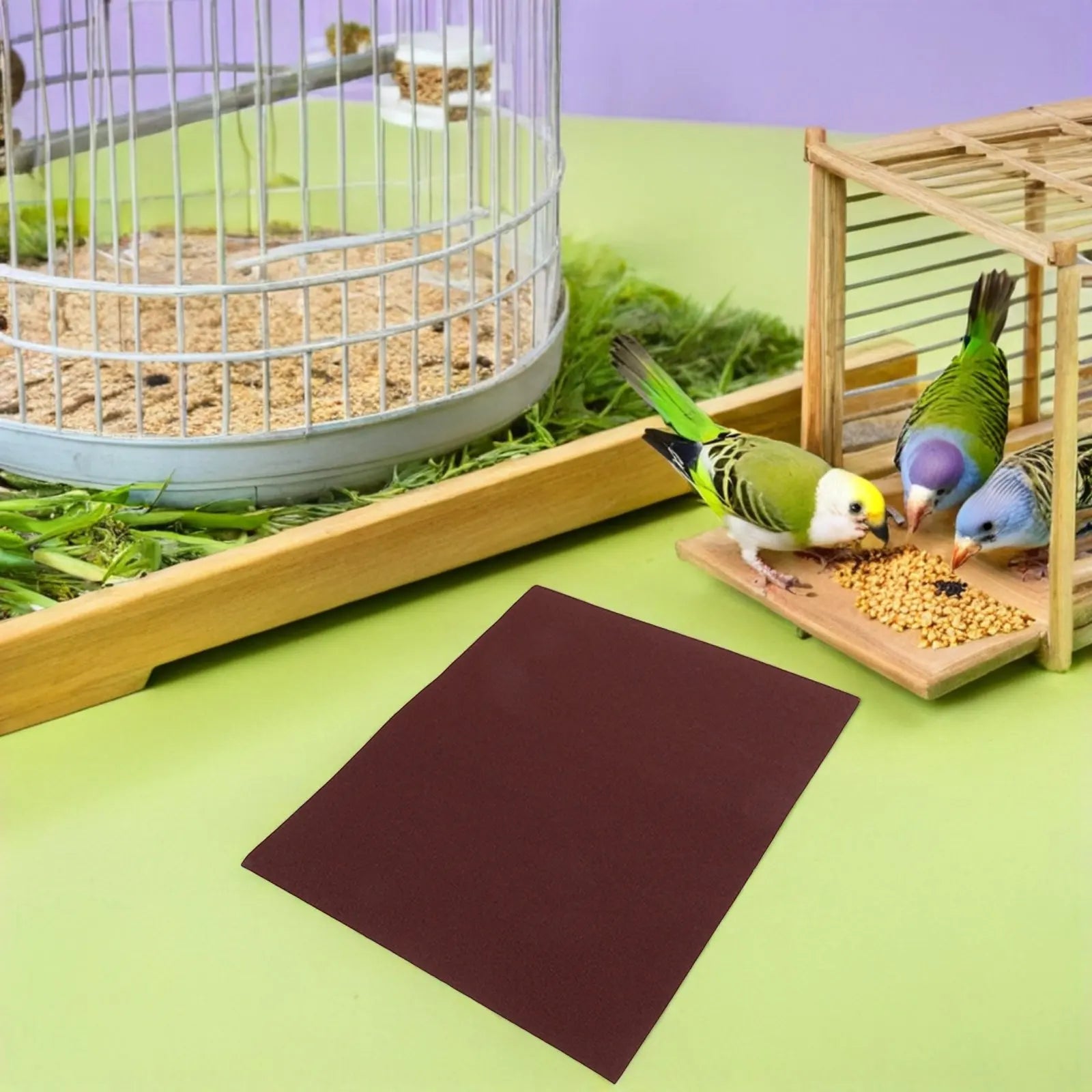 Bird Beak Claw Sandpaper Sheets Parrot Cage Liner Natural Nail