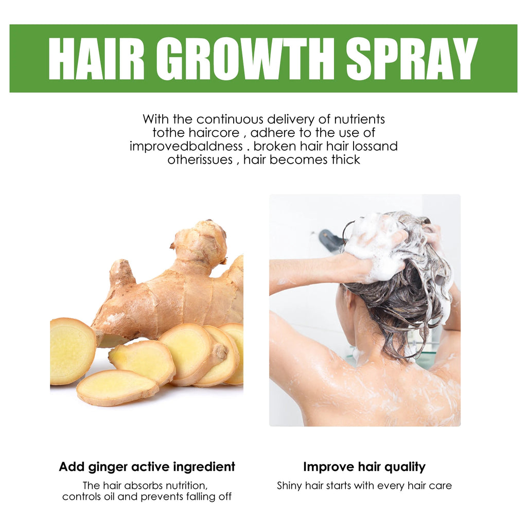 Ginger Hair Growth Spray | Anti-Baldness Scalp Treatment Serum Hair Growth Spray Zpaxo
