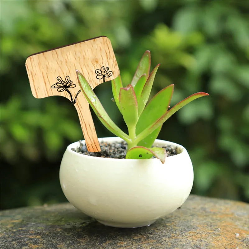 10/20/30PCS T-Type Bamboo Plant Labels Eco-Friendly Plant Sign Tags Garden Markers for Bonsai Seed Potted Herbs Flowers Zpaxo