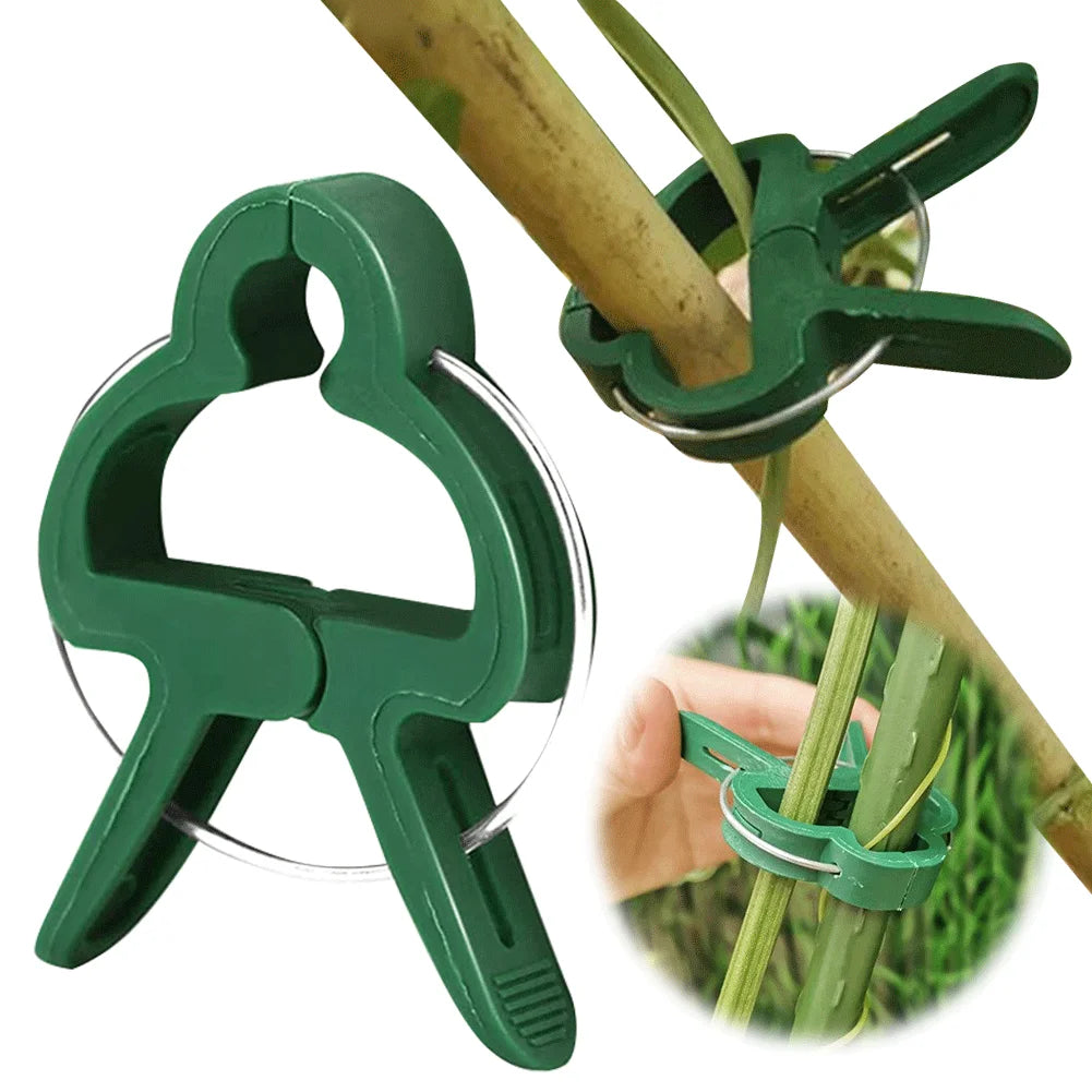 20/50Pcs Garden Tomato Plant Support Clips Reusable Vines Grow Upright Climbing Tool for Fixing Stems of Flower Vine Vegetables Zpaxo