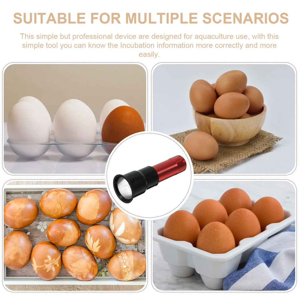 Egg Candling Lamp Professional Handheld Cold Light Design Chicken