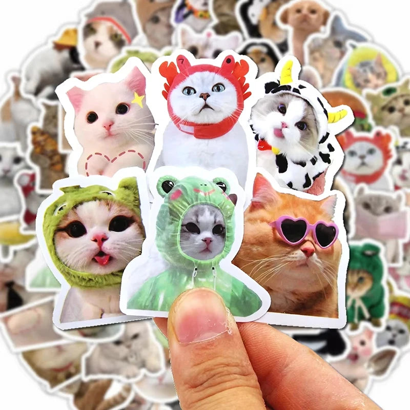 10 50 Funny Cat Pet Meme Graffiti Stickers DIY Scrapbook Notebook