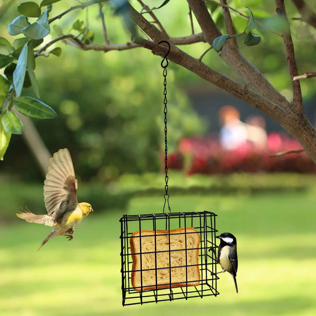 Suet Feeder Squirrel Proof Cage Birdwatching Station Reusable Wild