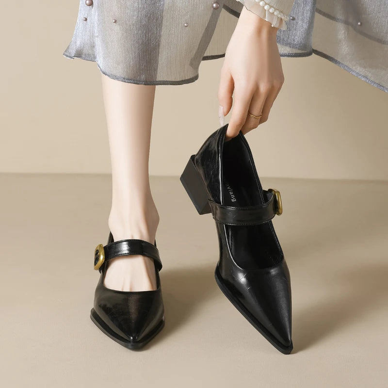 Women French Pointed Toe Mary Jane Shoes Block Heel 2025 Single Strap Zpaxo