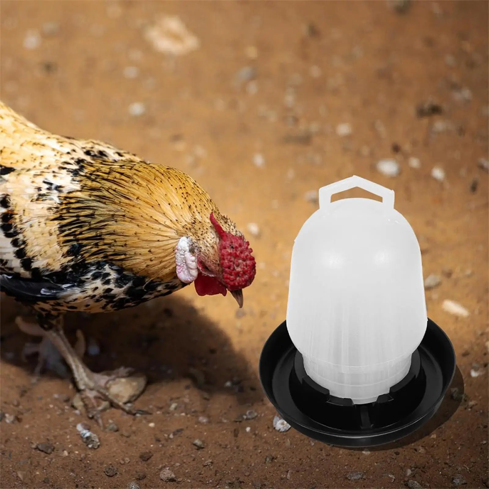 Automatic Chicken Waterer Poultry Drinker Duck Goose Water Cup