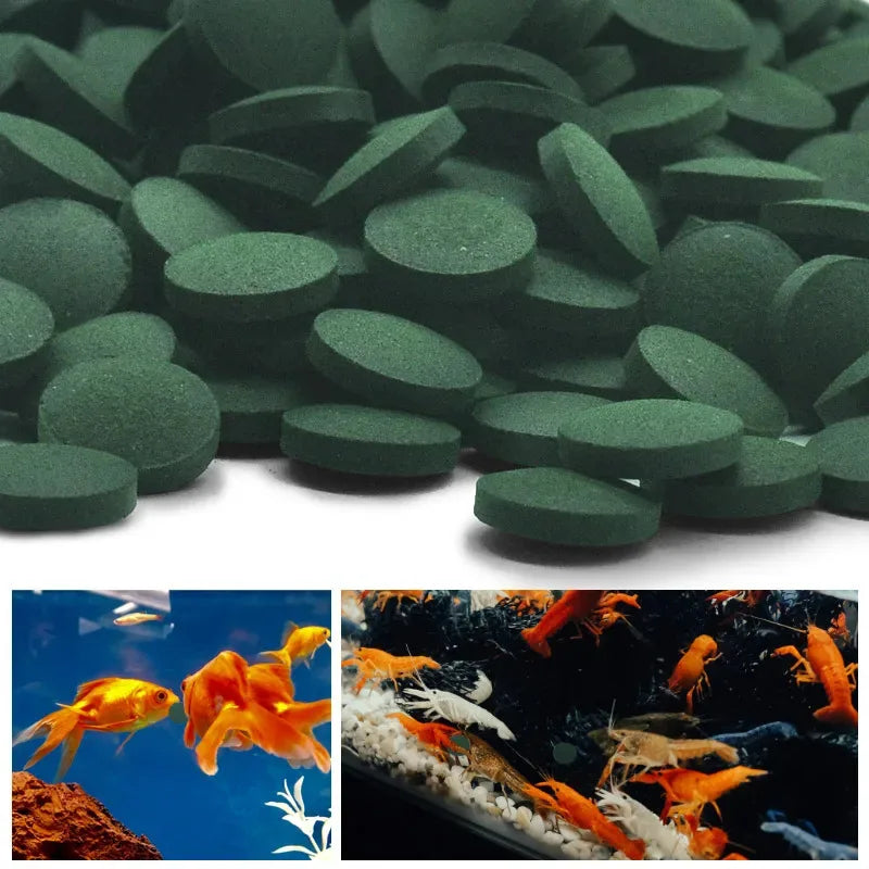 Algae Fish Food Pellets – Goldfish & Tropical Fish Feed