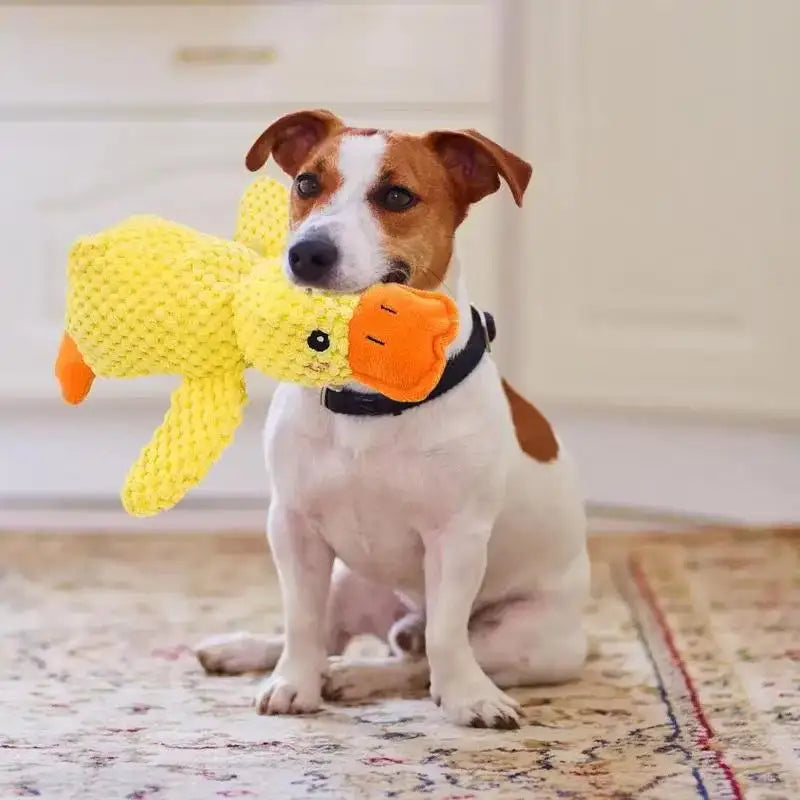 Long-lasting Squeaky Soft Toys Small Dogs Indestructible Chew Big Zpaxo