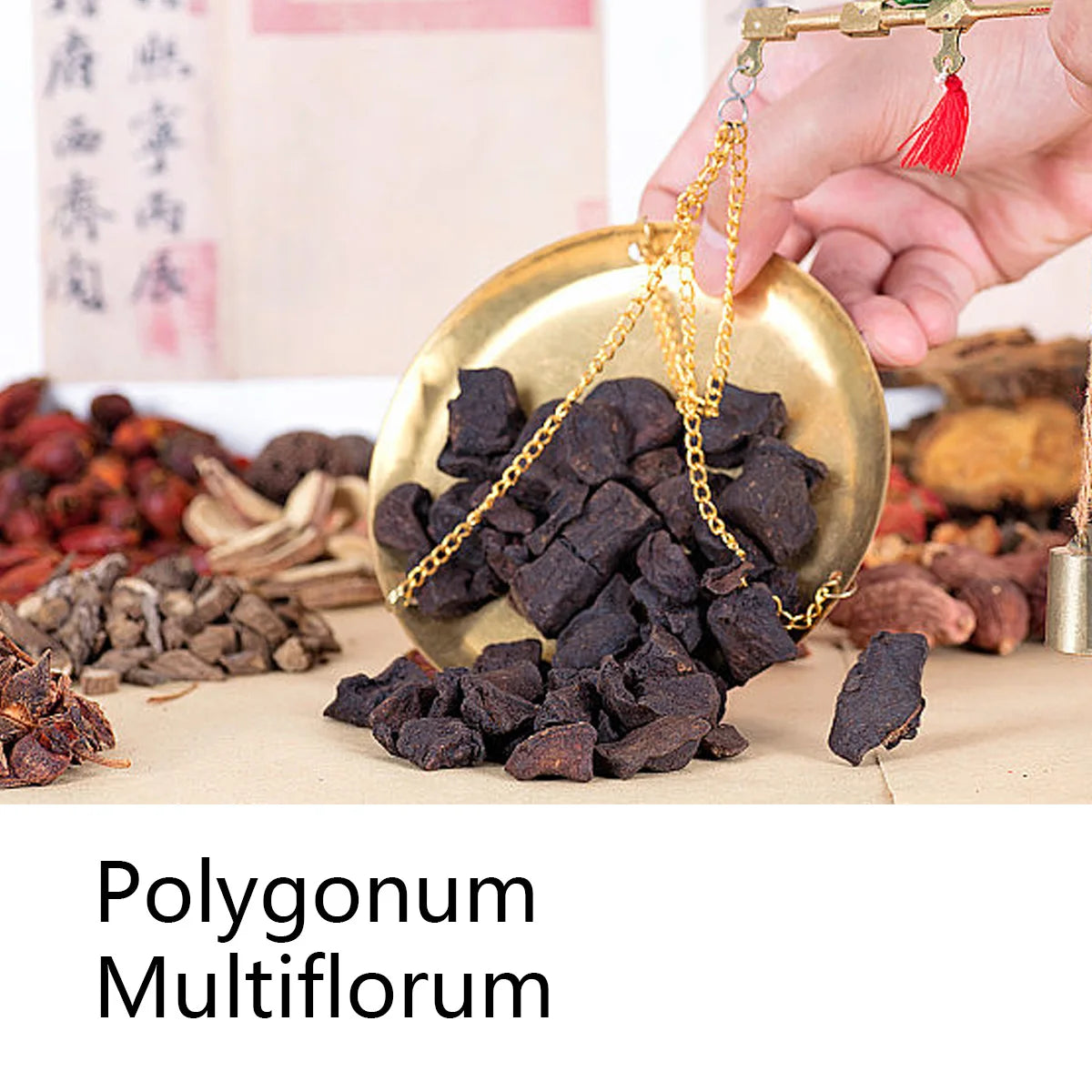 Polygonum Multiflorum Herbal Shampoo Soap Bar – Deep Cleanse Herbal Shampoo Bar Zpaxo