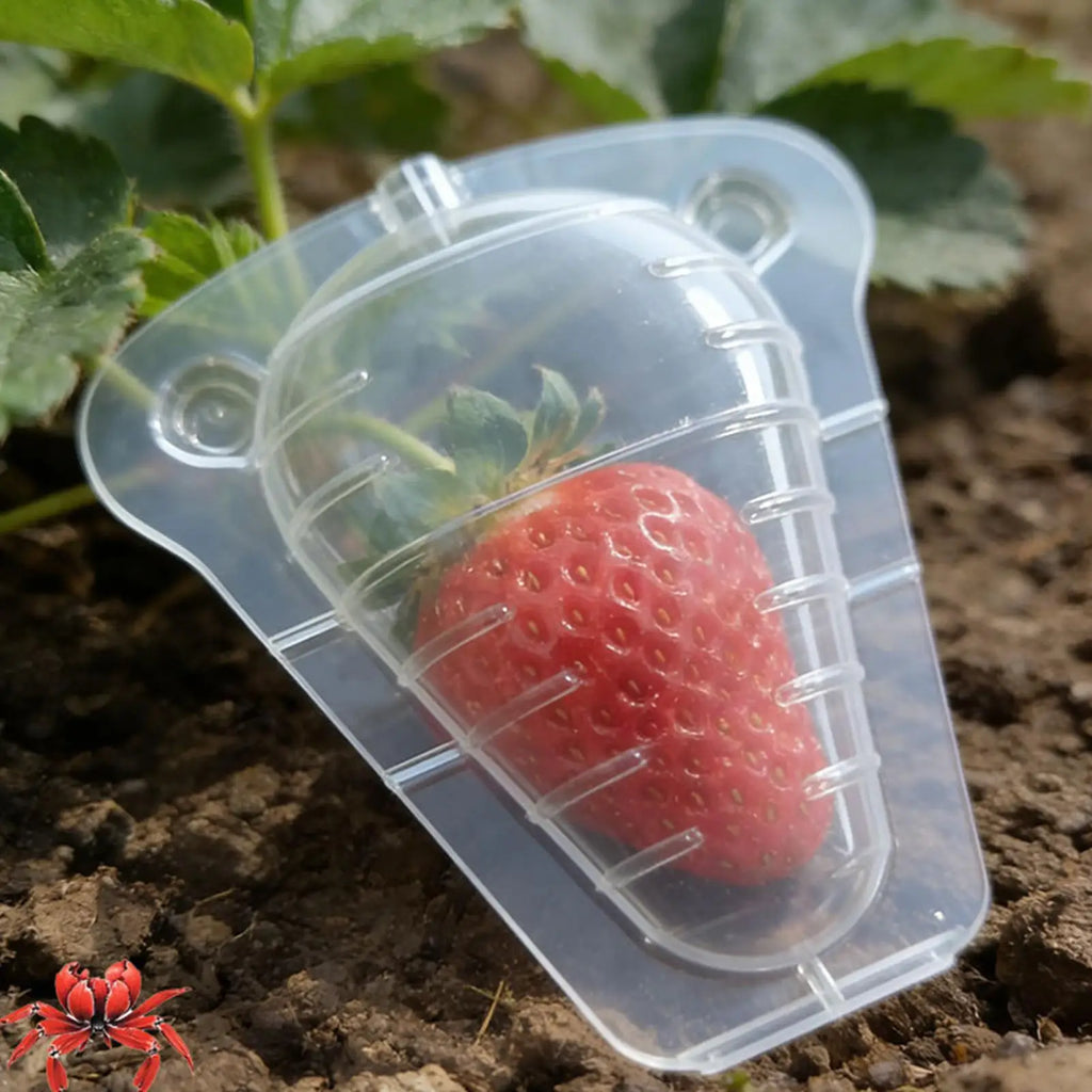 Strawberry Protectors 50-Pieces Clear Reusable Ventilation Cover