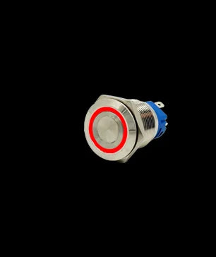 Metal Push Button Switch Momentary/Latching Led Backlit 5/12/24/220V With Fixation Power Start Stop Turns On/Off Diy Electronic Zpaxo RED LED 12mm 220V(220V)|Momentary Self-Reset