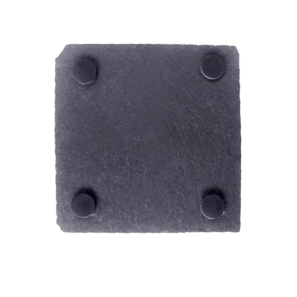 Turtle Reptile Food Dish Plate 10x10cm Moisture Absorbing Natural