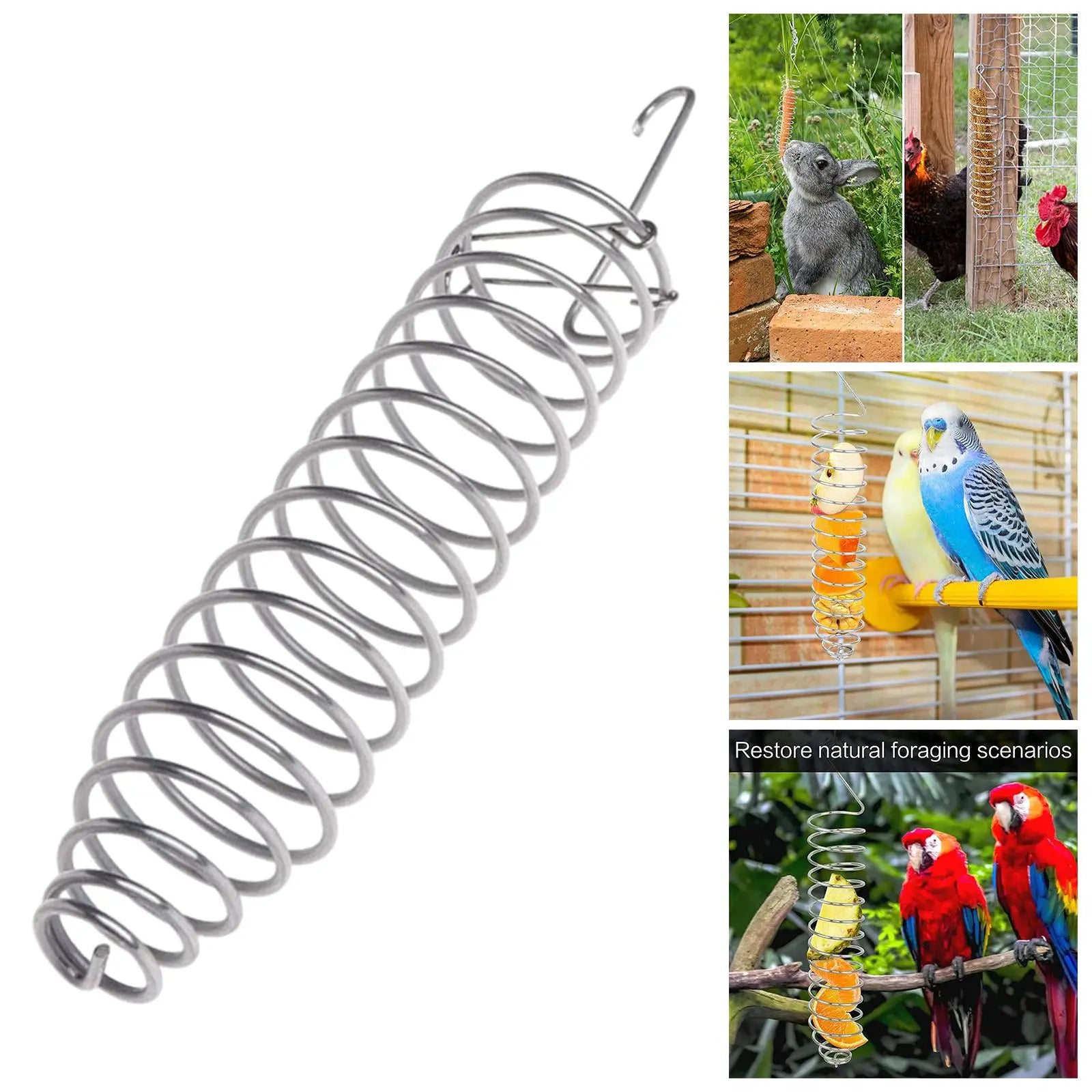 Spiral Parrots Foraging Toys Bird Fruit Feeding Tool Bird Food Basket Bird Food Holder for Grain Fruit Birdcage Pet Accessories Zpaxo