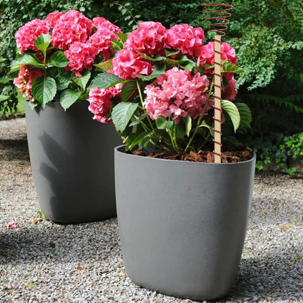 Electroculture Plant Stakes Garden Coppers Coils Antennas Growing