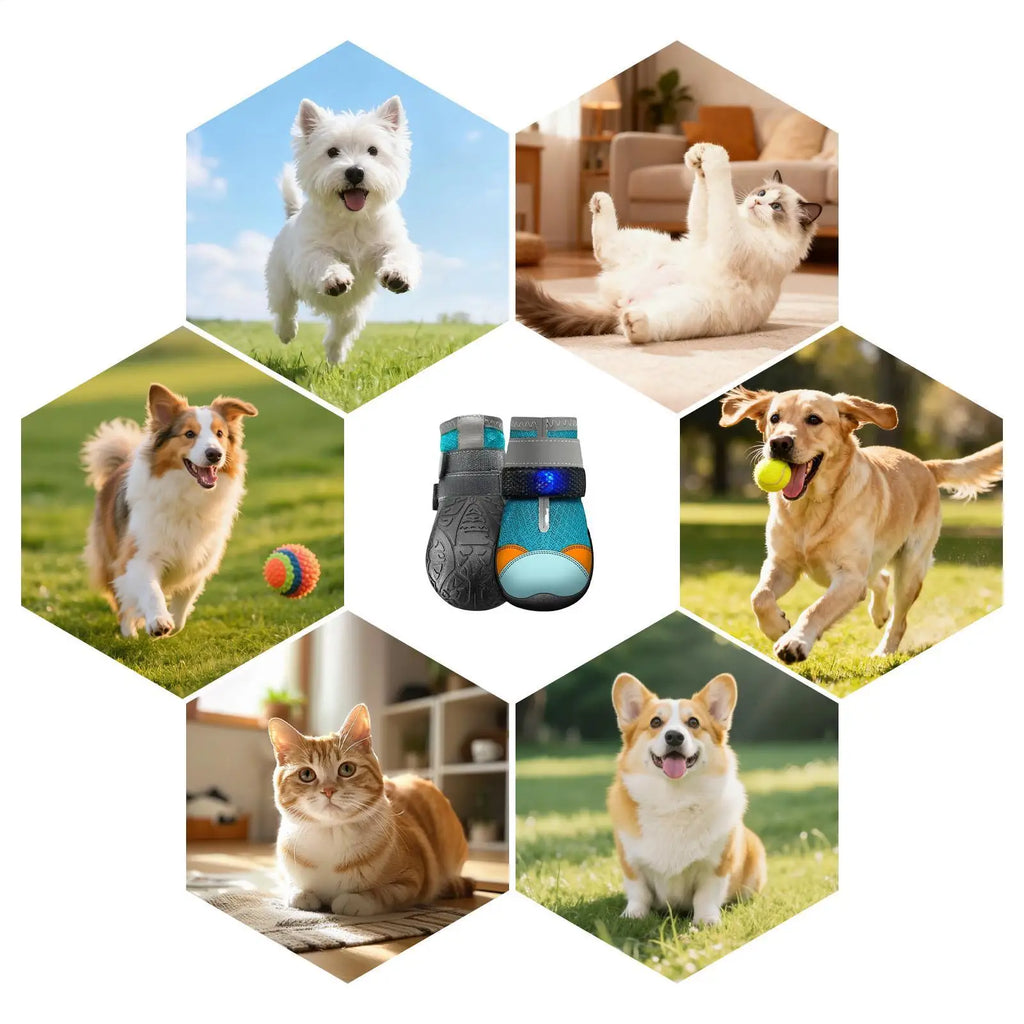 Cat Light Up Shoes Breathable Anti-Slip Pet Supplies LED Puppy Shoes For Small Dogs For Puppy Kitten Summer Outdoor Night Walks Zpaxo