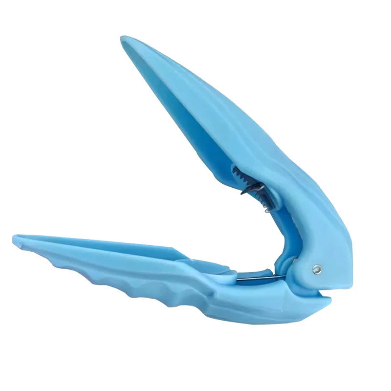 Stainless Steel Chestnut Opener & Nut Cracker – Cross Blade Nut Cracker Tool Zpaxo blue