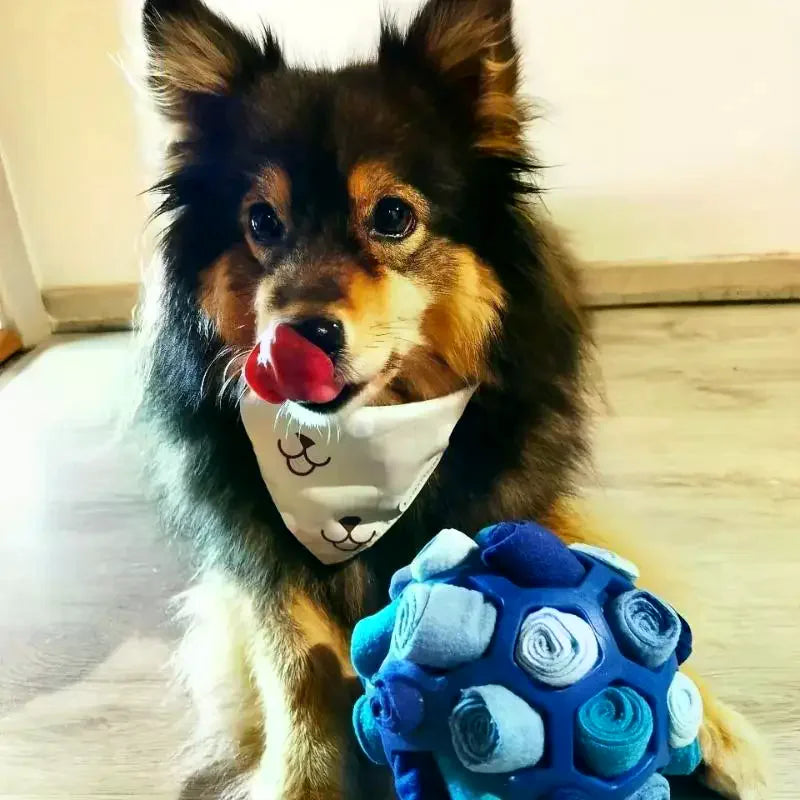Small Dogs Dog Sniffing Ball Toy Puzzle Hidden Food Educational Zpaxo